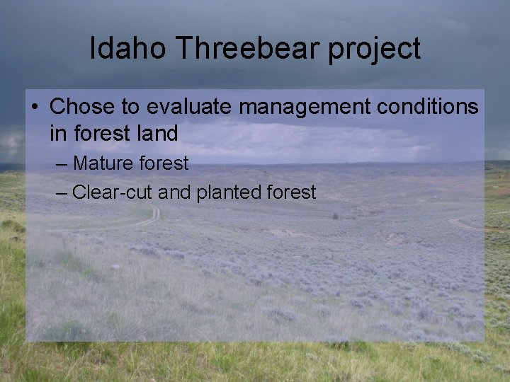 Idaho Threebear project • Chose to evaluate management conditions in forest land – Mature