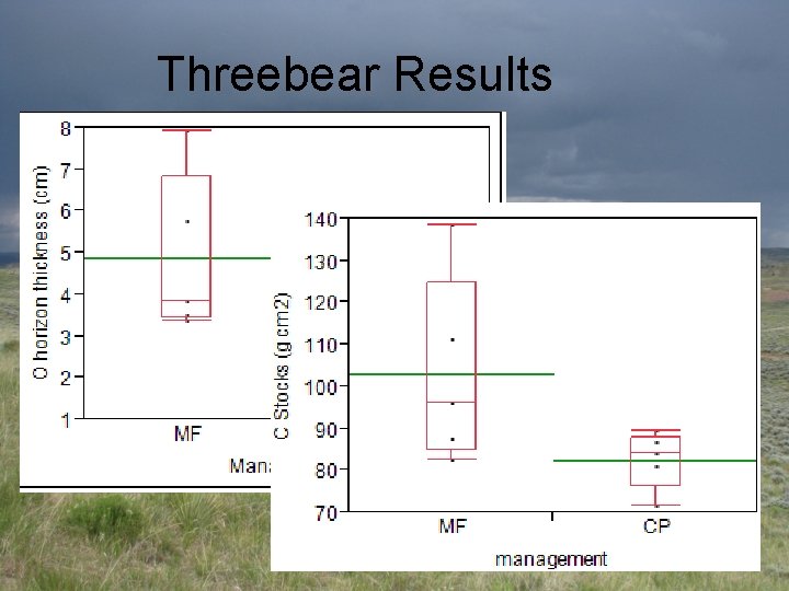 Threebear Results 