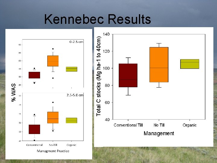 Total C stocks (Mg ha-1 to 40 cm) % WAS Kennebec Results 