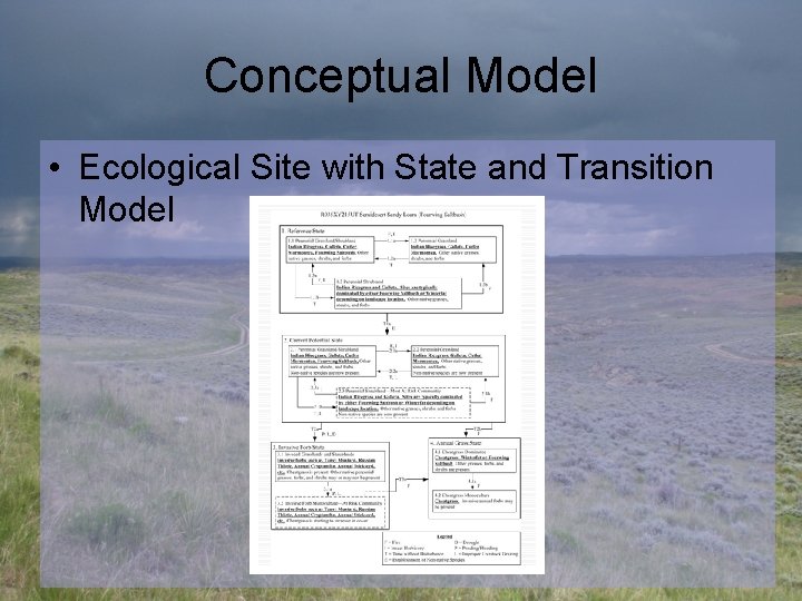 Conceptual Model • Ecological Site with State and Transition Model 