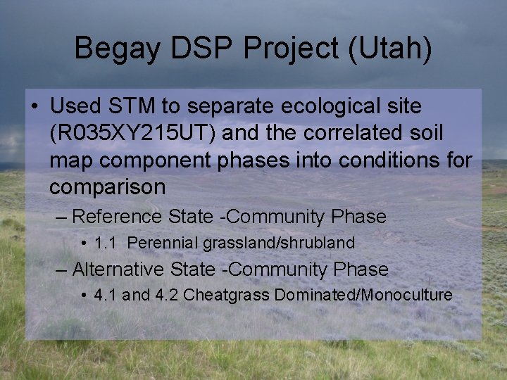 Begay DSP Project (Utah) • Used STM to separate ecological site (R 035 XY