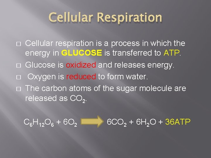 Cellular Respiration � � Cellular respiration is a process in which the energy in Cellular Respiration � � Cellular respiration is a process in which the energy in
