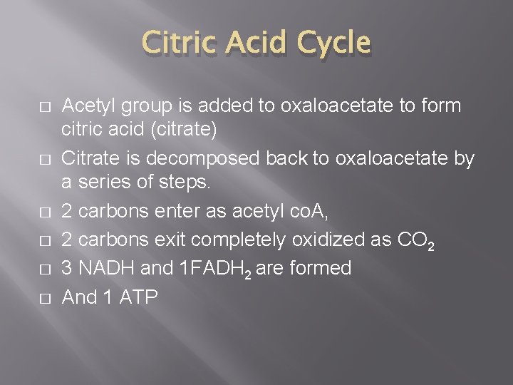 Citric Acid Cycle � � � Acetyl group is added to oxaloacetate to form Citric Acid Cycle � � � Acetyl group is added to oxaloacetate to form