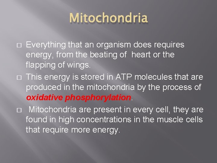 Mitochondria � � � Everything that an organism does requires energy, from the beating Mitochondria � � � Everything that an organism does requires energy, from the beating