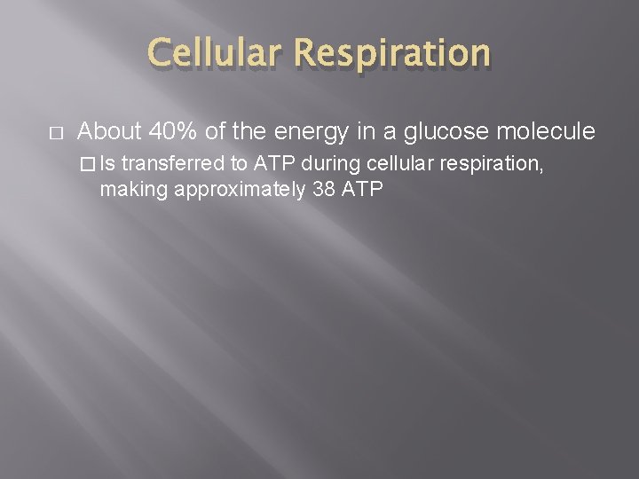 Cellular Respiration � About 40% of the energy in a glucose molecule � Is Cellular Respiration � About 40% of the energy in a glucose molecule � Is