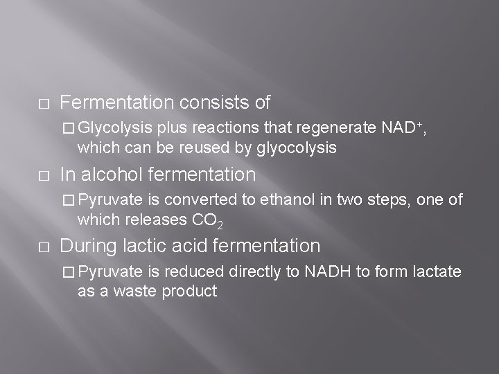 � Fermentation consists of � Glycolysis plus reactions that regenerate NAD+, which can be � Fermentation consists of � Glycolysis plus reactions that regenerate NAD+, which can be