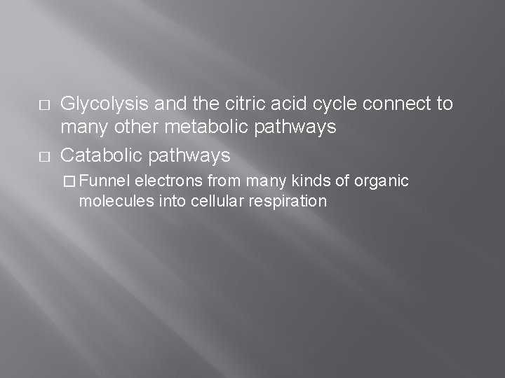 � � Glycolysis and the citric acid cycle connect to many other metabolic pathways � � Glycolysis and the citric acid cycle connect to many other metabolic pathways