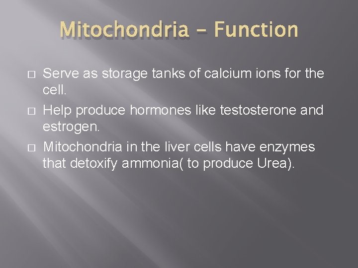 Mitochondria � � � Serve as storage tanks of calcium ions for the cell. Mitochondria � � � Serve as storage tanks of calcium ions for the cell.