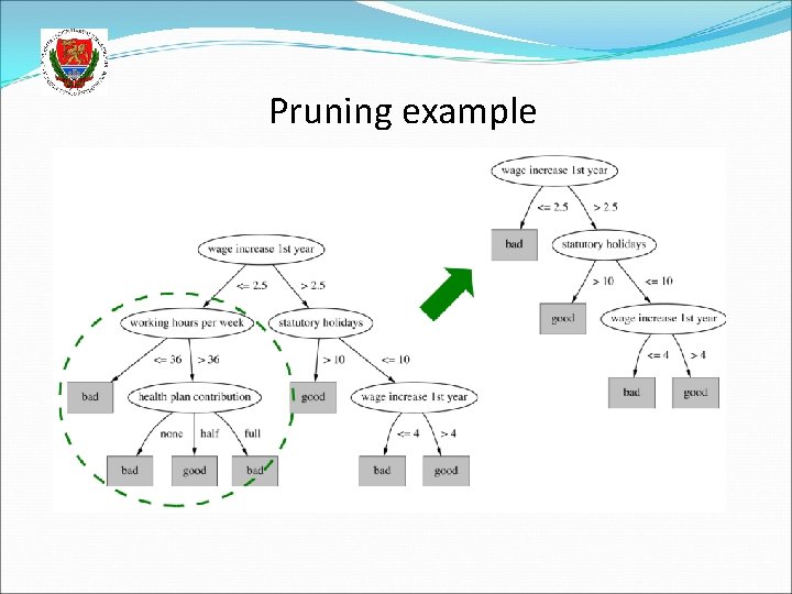 Pruning example 