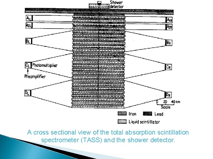 A cross sectional view of the total absorption scintillation spectrometer (TASS) and the shower