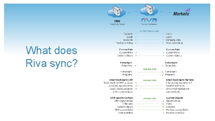 What does Riva sync? 