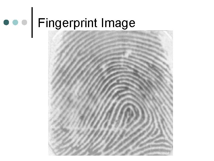 Fingerprint Image 