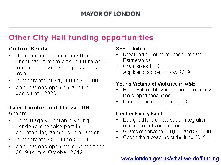 Other City Hall funding opportunities Culture Seeds • New funding programme that encourages more