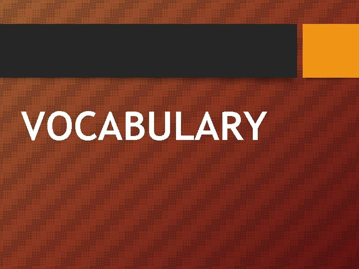 VOCABULARY 