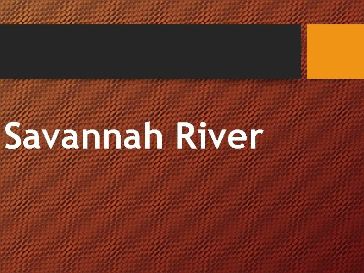 Savannah River 