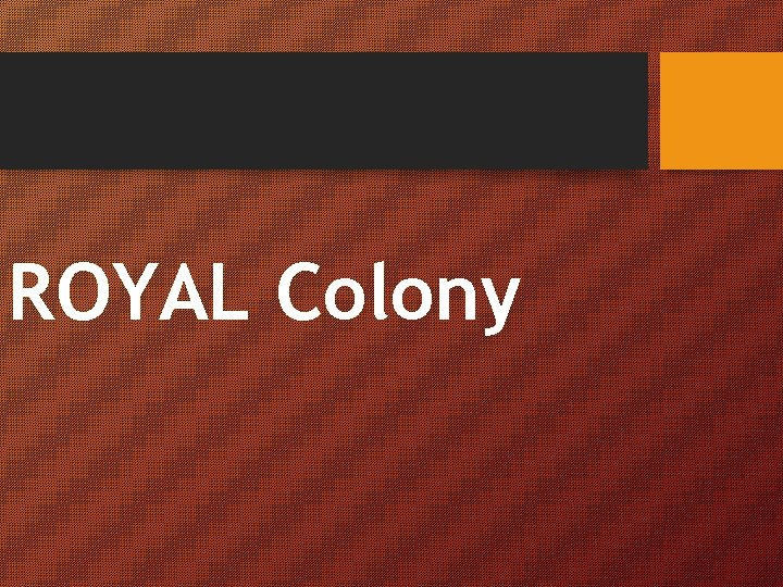 ROYAL Colony 