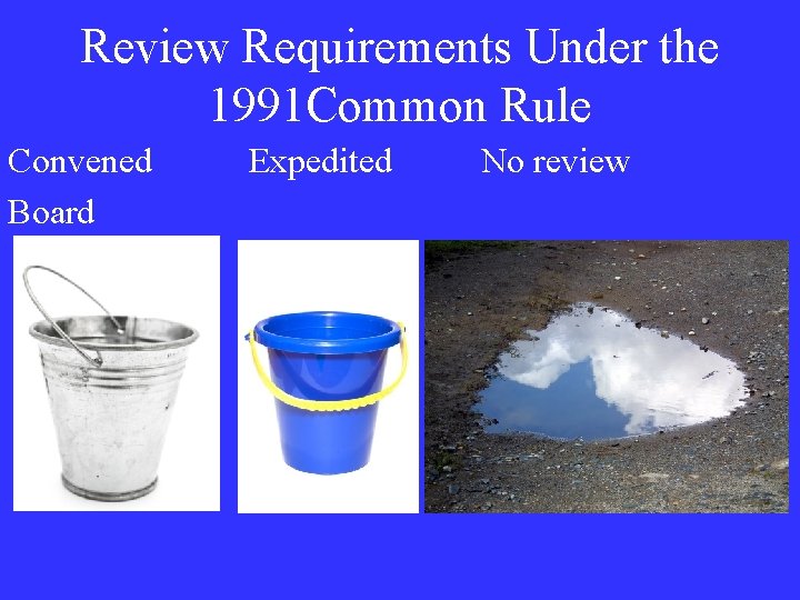 Review Requirements Under the 1991 Common Rule Convened Board Expedited No review 