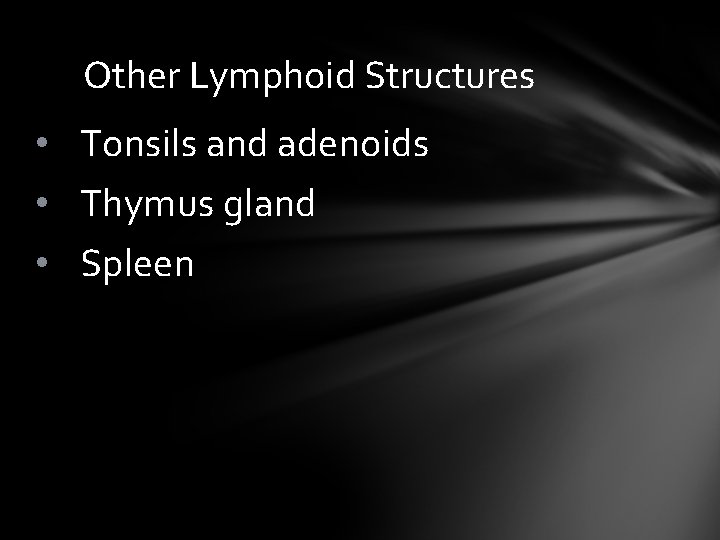 Other Lymphoid Structures • Tonsils and adenoids • Thymus gland • Spleen 