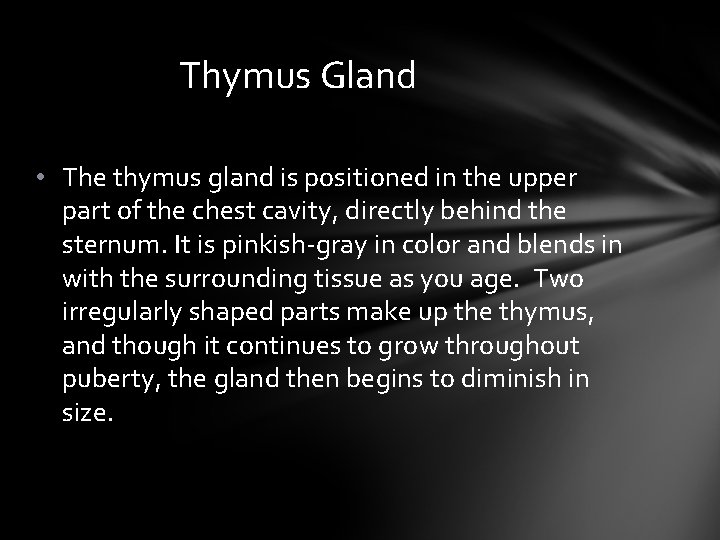 Thymus Gland • The thymus gland is positioned in the upper part of the