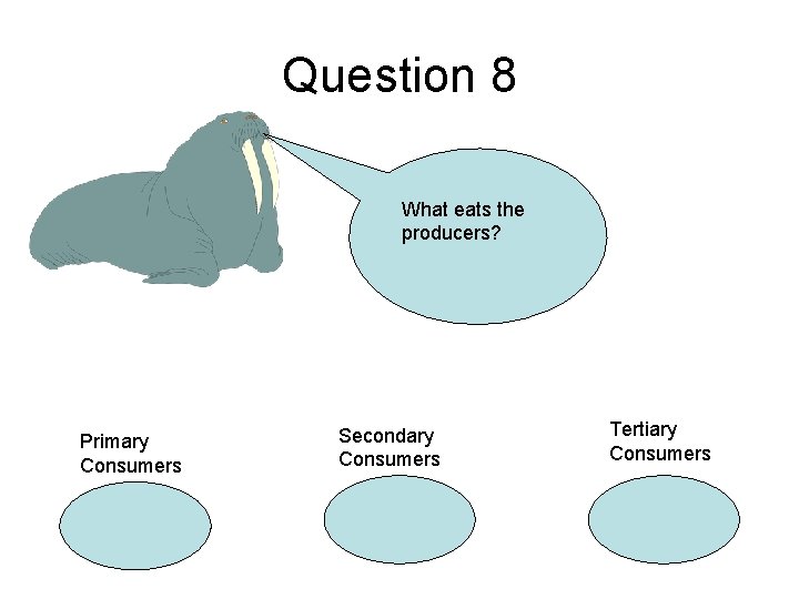 Question 8 What eats the producers? Primary Consumers Secondary Consumers Tertiary Consumers 