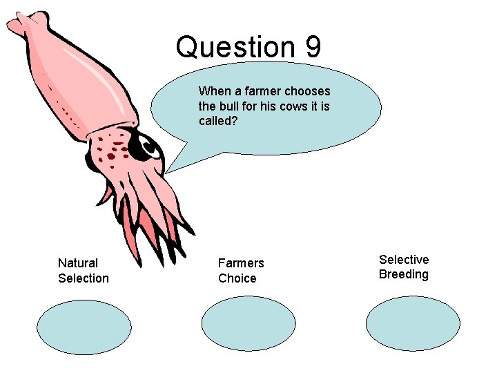 Question 9 When a farmer chooses the bull for his cows it is called?