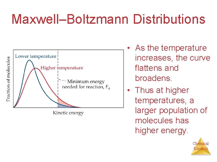 Maxwell–Boltzmann Distributions • As the temperature increases, the curve flattens and broadens. • Thus