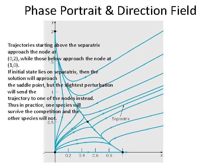 Phase Portrait & Direction Field Trajectories starting above the separatrix approach the node at