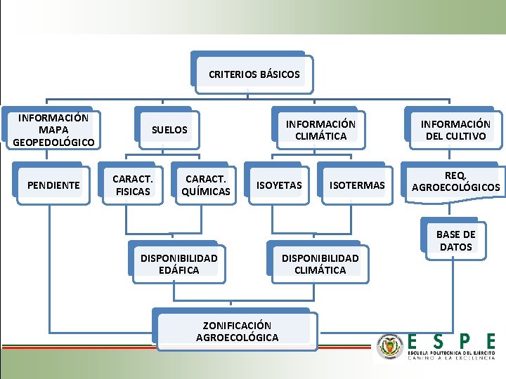 CRITERIOS BÁSICOS INFORMACIÓN MAPA GEOPEDOLÓGICO PENDIENTE INFORMACIÓN CLIMÁTICA SUELOS CARACT. FISICAS CARACT. QUÍMICAS ISOYETAS