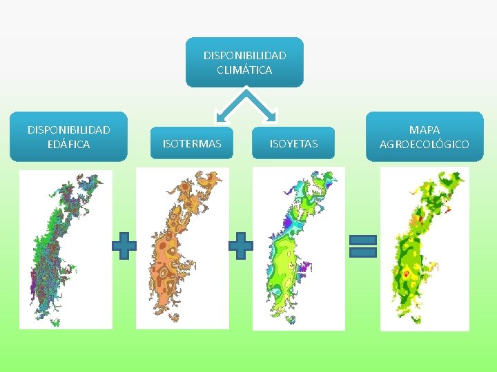 DISPONIBILIDAD CLIMÁTICA DISPONIBILIDAD EDÁFICA ISOTERMAS ISOYETAS MAPA AGROECOLÓGICO 