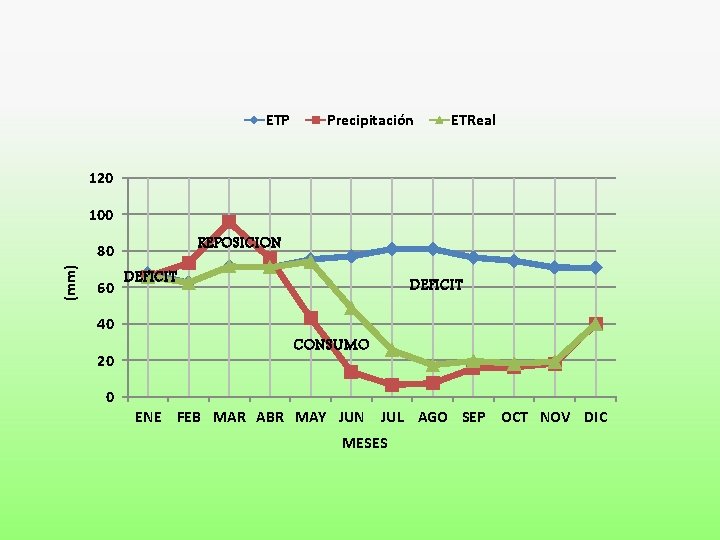 ETP Precipitación ETReal 120 100 REPOSICION (mm) 80 60 40 20 DEFICIT CONSUMO 0