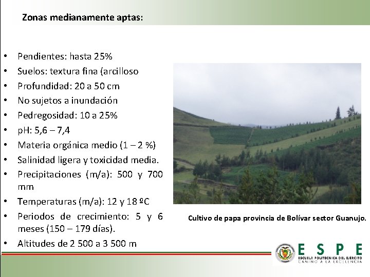 Zonas medianamente aptas: Pendientes: hasta 25% Suelos: textura fina (arcilloso Profundidad: 20 a 50