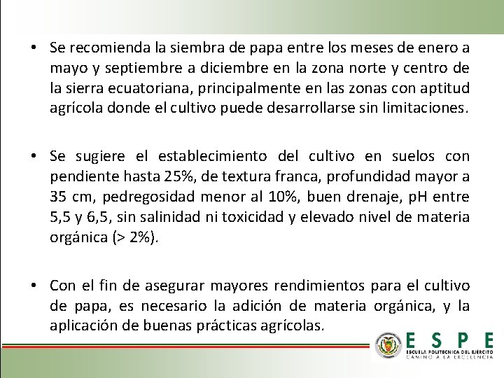  • Se recomienda la siembra de papa entre los meses de enero a