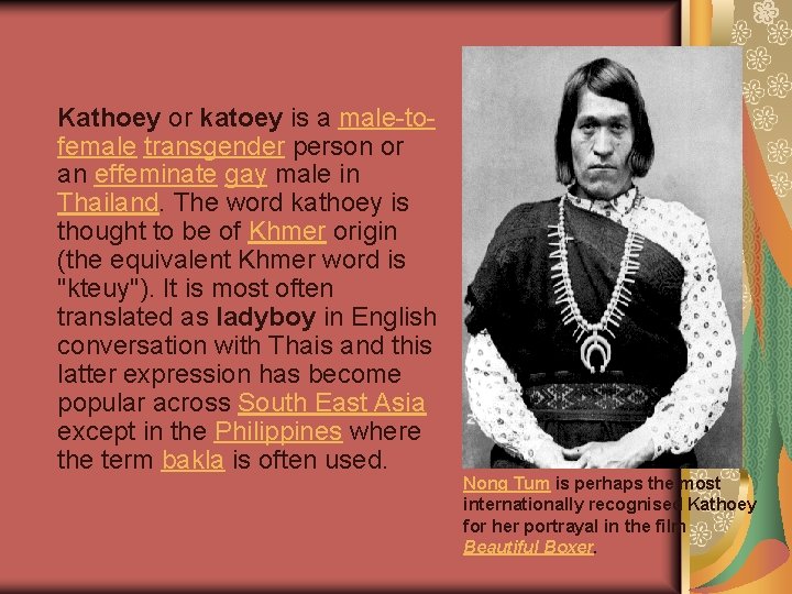 Kathoey or katoey is a male-tofemale transgender person or an effeminate gay male in