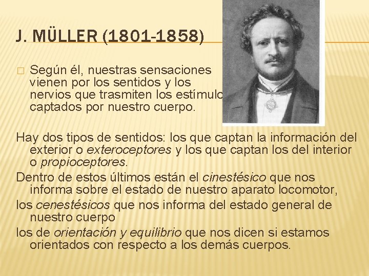 J. MÜLLER (1801 -1858) � Según él, nuestras sensaciones vienen por los sentidos y