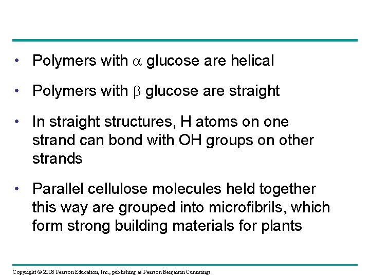  • Polymers with glucose are helical • Polymers with glucose are straight •
