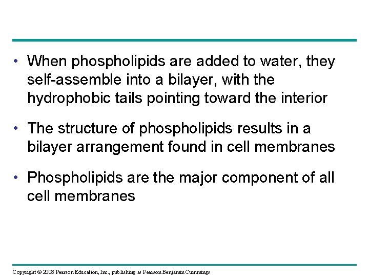  • When phospholipids are added to water, they self-assemble into a bilayer, with