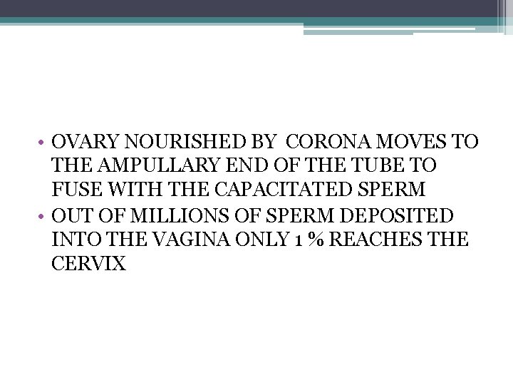  • OVARY NOURISHED BY CORONA MOVES TO THE AMPULLARY END OF THE TUBE