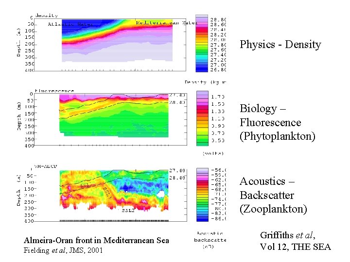 Physics - Density Biology – Fluorescence (Phytoplankton) Acoustics – Backscatter (Zooplankton) Almeira-Oran front in