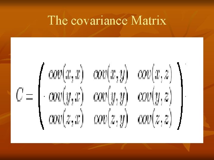 The covariance Matrix 