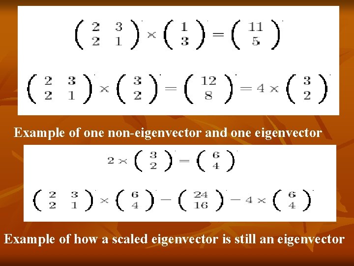 Example of one non-eigenvector and one eigenvector Example of how a scaled eigenvector is