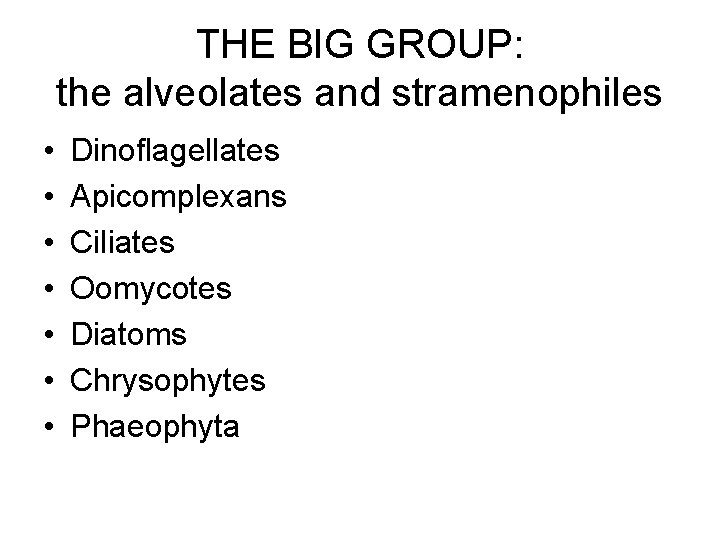 THE BIG GROUP: the alveolates and stramenophiles • • Dinoflagellates Apicomplexans Ciliates Oomycotes Diatoms