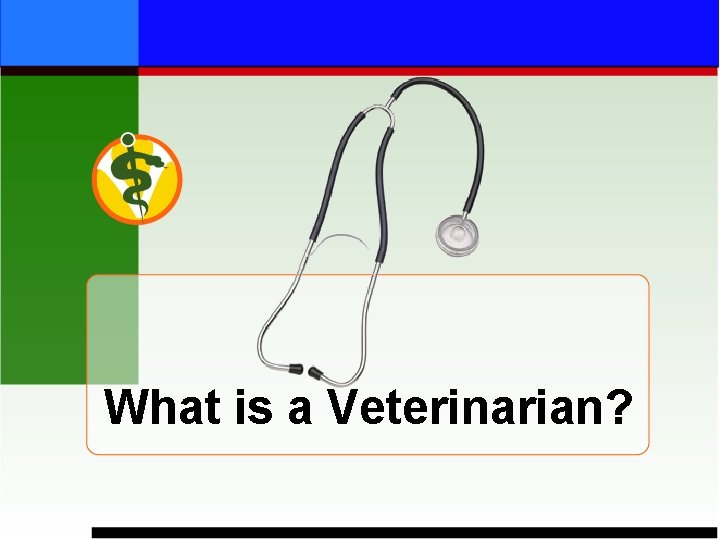 What is a Veterinarian? 