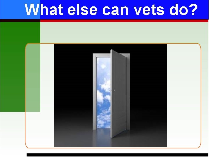 What else can vets do? 