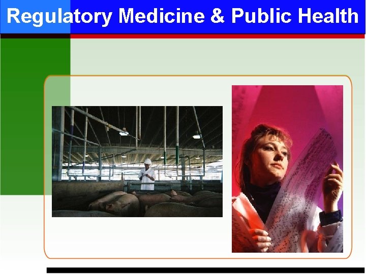 Regulatory Medicine & Public Health 