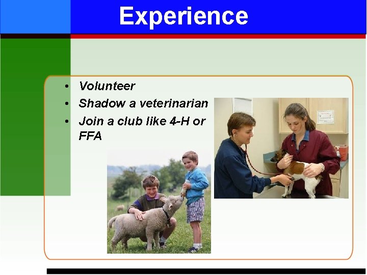 Experience • Volunteer • Shadow a veterinarian • Join a club like 4 -H