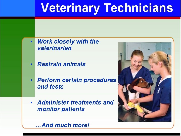 Veterinary Technicians • Work closely with the veterinarian • Restrain animals • Perform certain