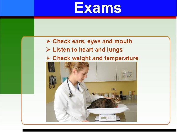 Exams Ø Check ears, eyes and mouth Ø Listen to heart and lungs Ø