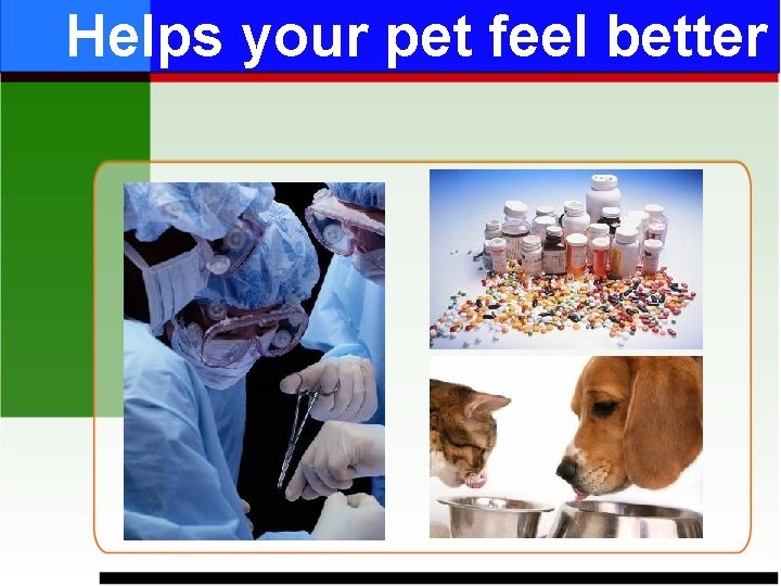 Helps your pet feel better 