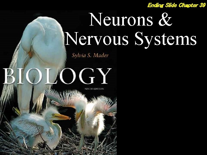 Ending Slide Chapter 39 Neurons & Nervous Systems 