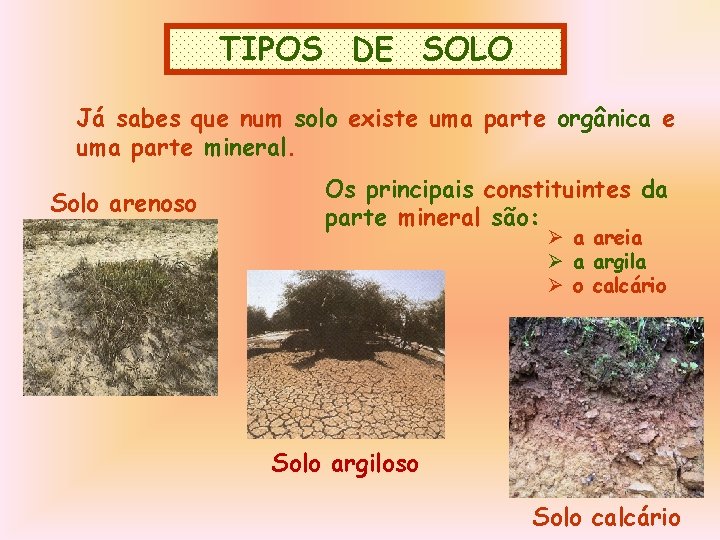 TIPOS DE SOLO Já sabes que num solo existe uma parte orgânica e uma